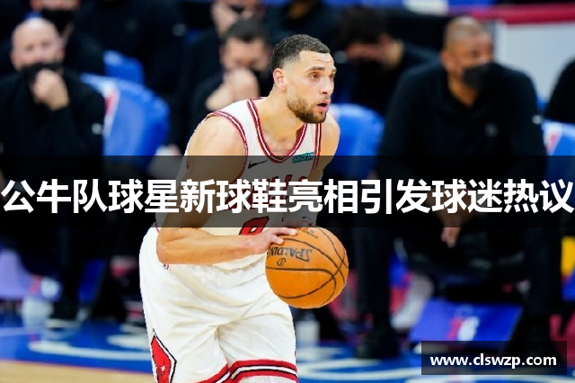 公牛队球星新球鞋亮相引发球迷热议