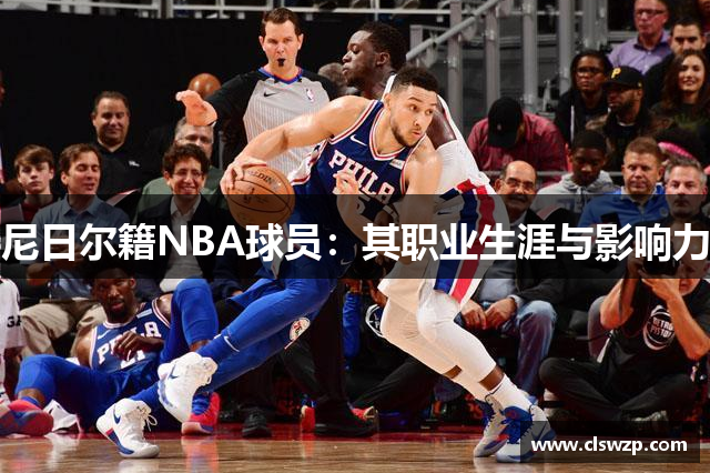尼日尔籍NBA球员：其职业生涯与影响力