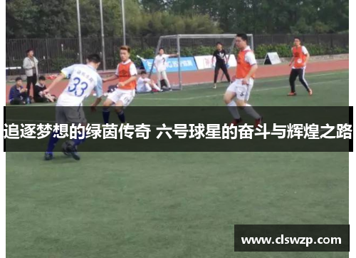 追逐梦想的绿茵传奇 六号球星的奋斗与辉煌之路