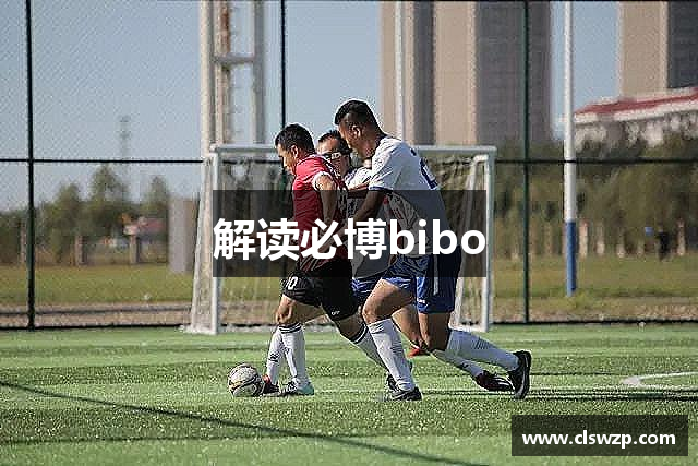 解读必博bibo